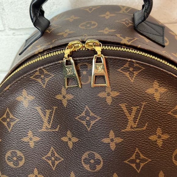 Louis Vuitton Palm Springs MM Monogram Backpack - Picture 3 of 13
